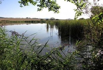 Ostružno