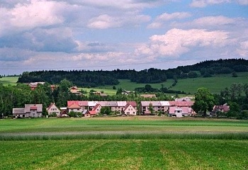 Borová