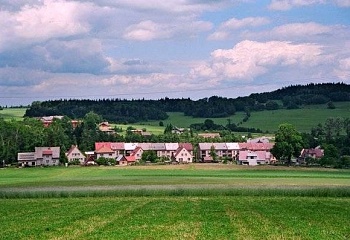 Borová