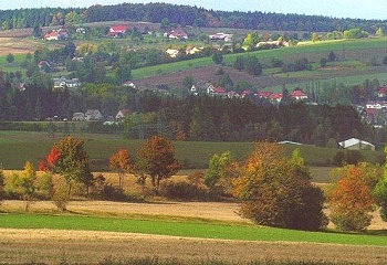 Borová