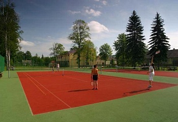 Borová