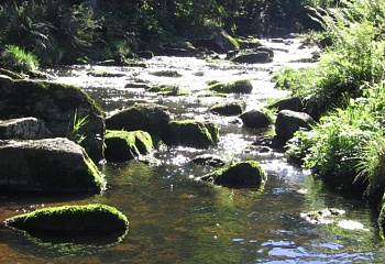 Březiny