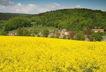 Březnice