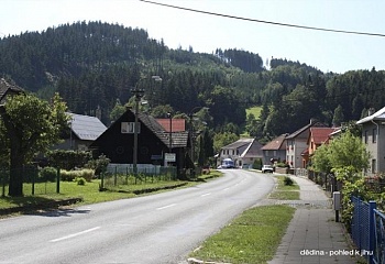 Držková