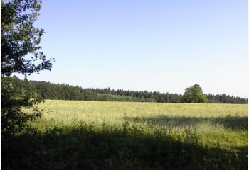 Karlovice
