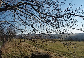 Kelníky