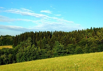Ratiboř