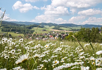 Ratiboř