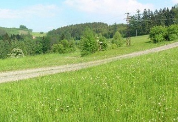 Růžďka