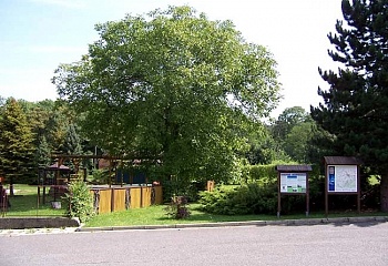 Raduň