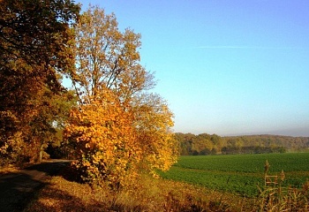 Třtěnice