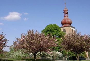 Úlibice