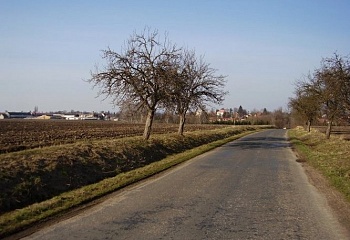 Volanice