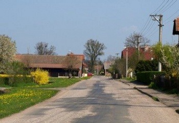 Vrbice