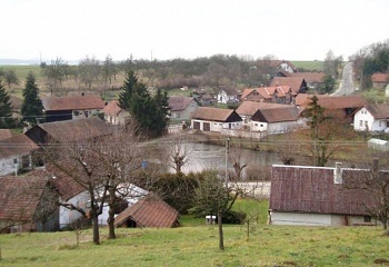 Vršce