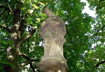 Židovice