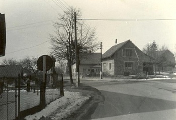 Borovnice