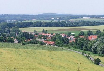 Borovnice