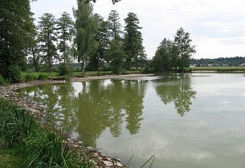 Čermná nad Orlicí