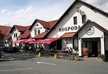 Čestice