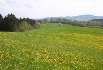 Valašská Polanka