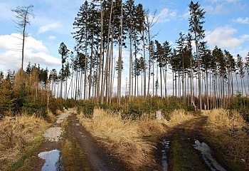 Skřipov