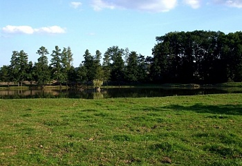 Štítina