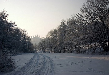 Těškovice