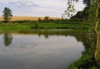 Svídnice