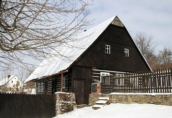 Brzice
