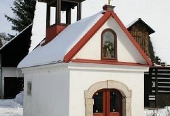 Brzice