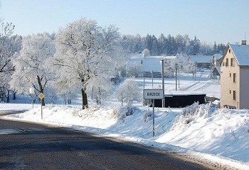 Brzice