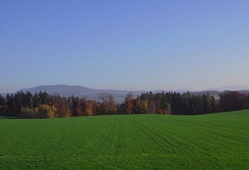 Velké Petrovice