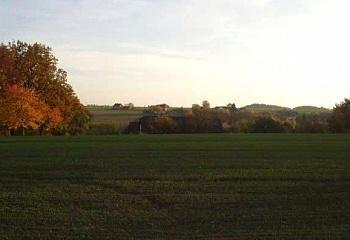 Vestec