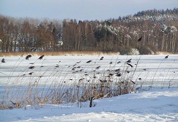 Zábrodí