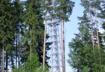 Vidochov