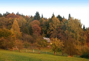 Libchyně