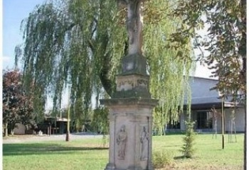 Králíky