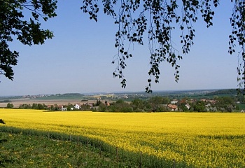 Poběžovice u Přelouče