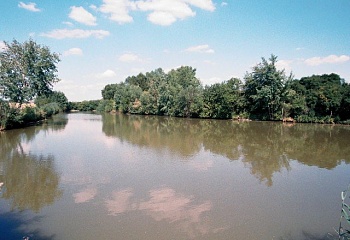 Petrovice
