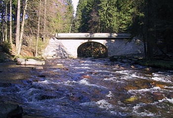Bartošovice v Orlických horách