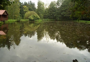 Kvasiny