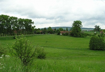 Lupenice