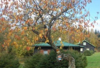 Rokytnice v Orlických horách