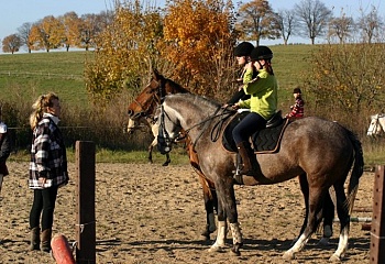 Rokytnice v Orlických horách