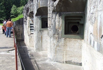 Rokytnice v Orlických horách