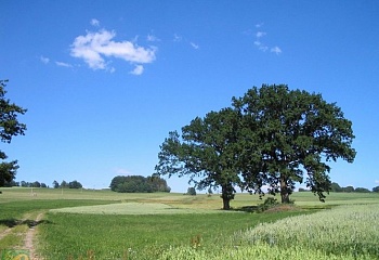 Rychnov nad Kněžnou