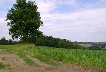 Skuhrov nad Bělou