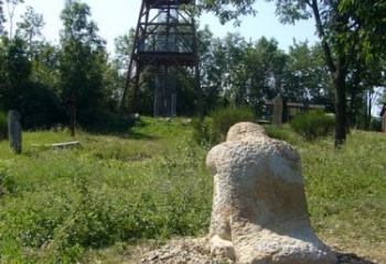 Svinčany