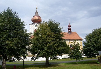 Svinčany